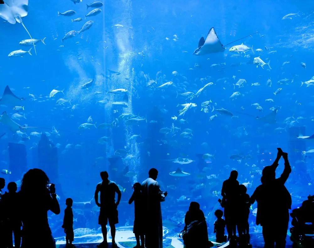 Primorsky Oceanarium