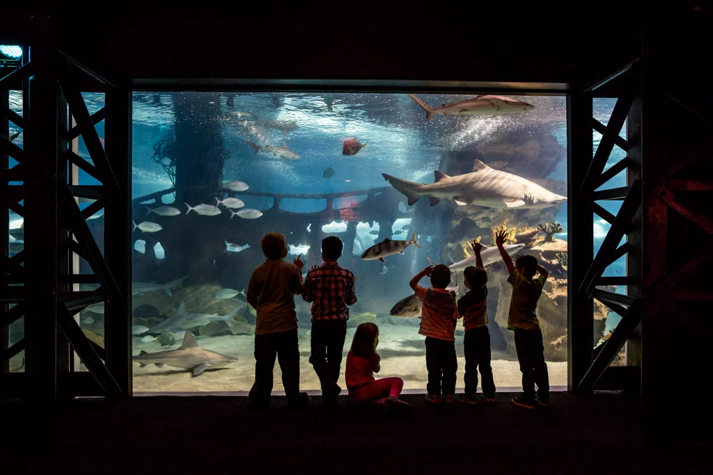 Greater Cleveland Aquarium