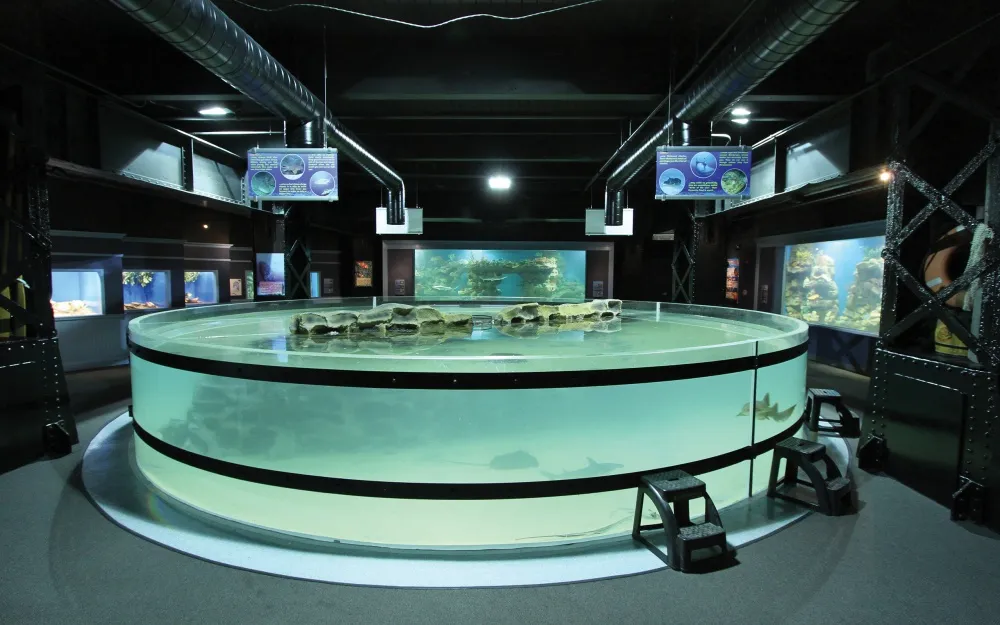 Greater Cleveland Aquarium