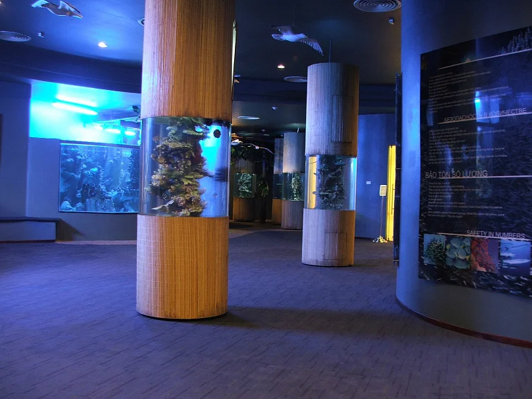 Vinpearl Underwater World