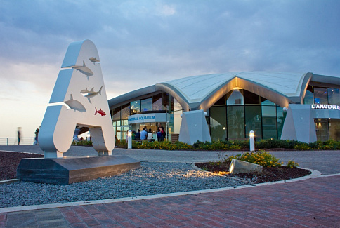 Photo-1