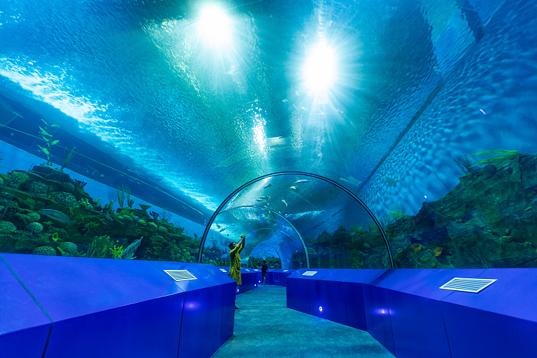 Gujarat Science City Aquatics Gallery