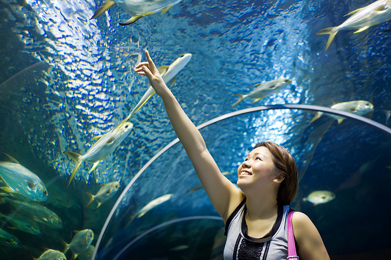 Primorsky Oceanarium