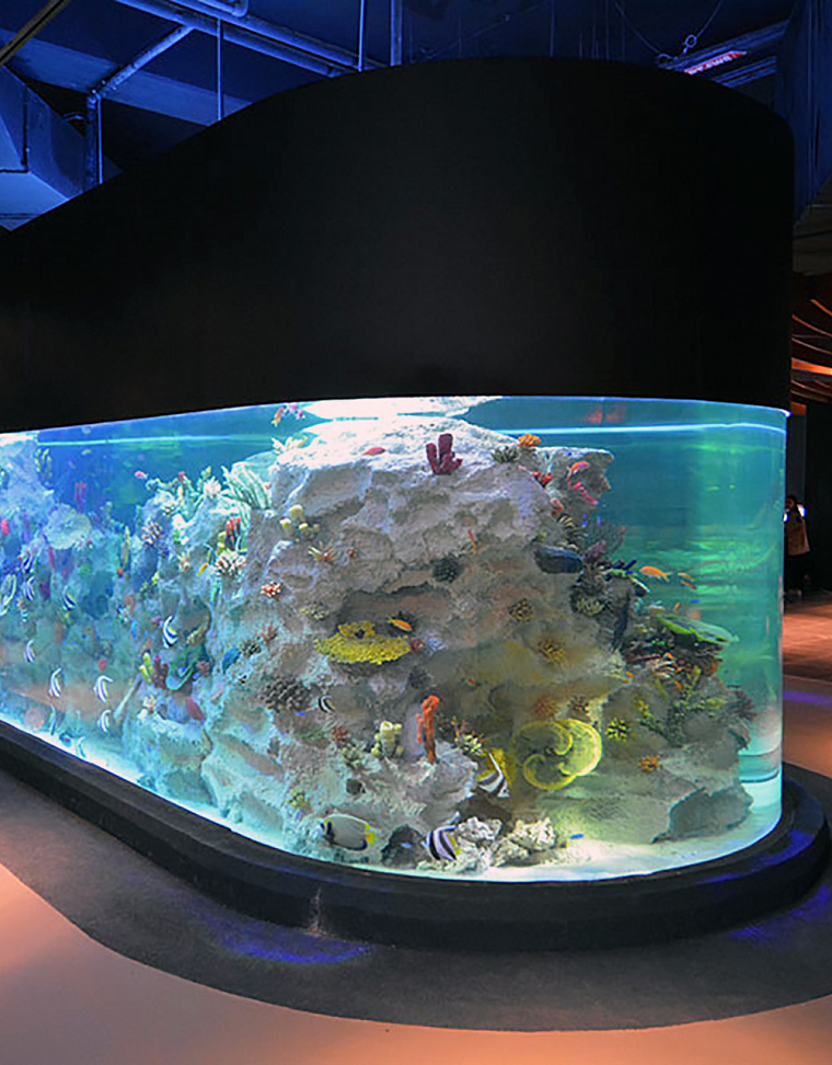 EMAAR Aquarium and Underwater Zoo