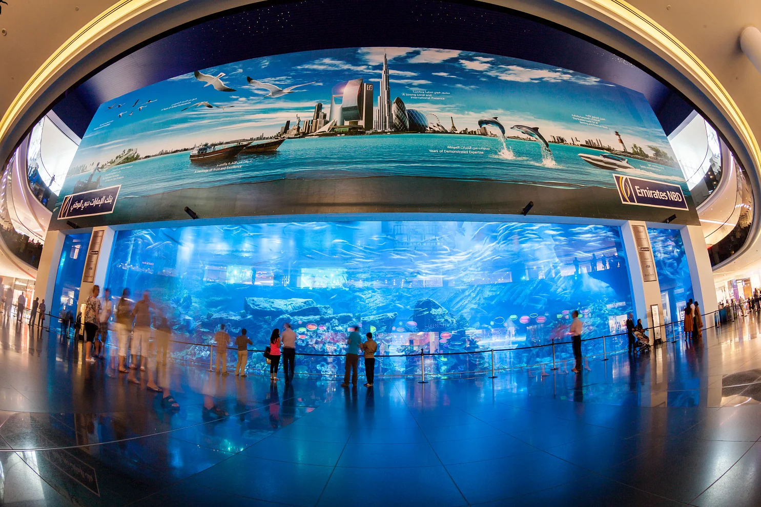 Dubai Aquarium and Underwater Zoo
