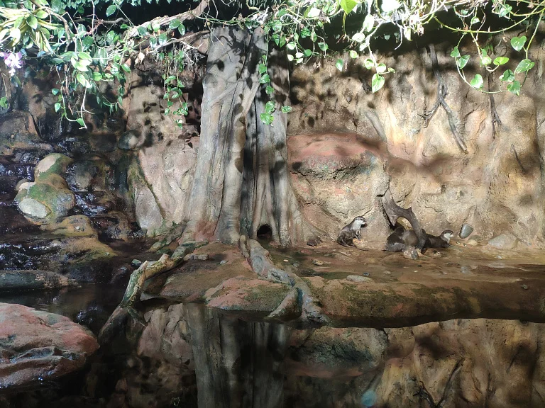 Saint Petersburg Oceanarium
