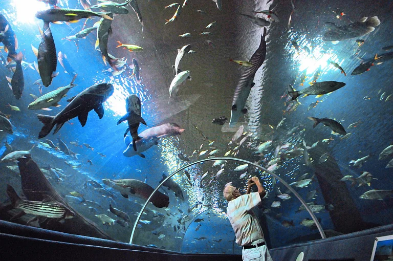 Chiang Mai Aquarium