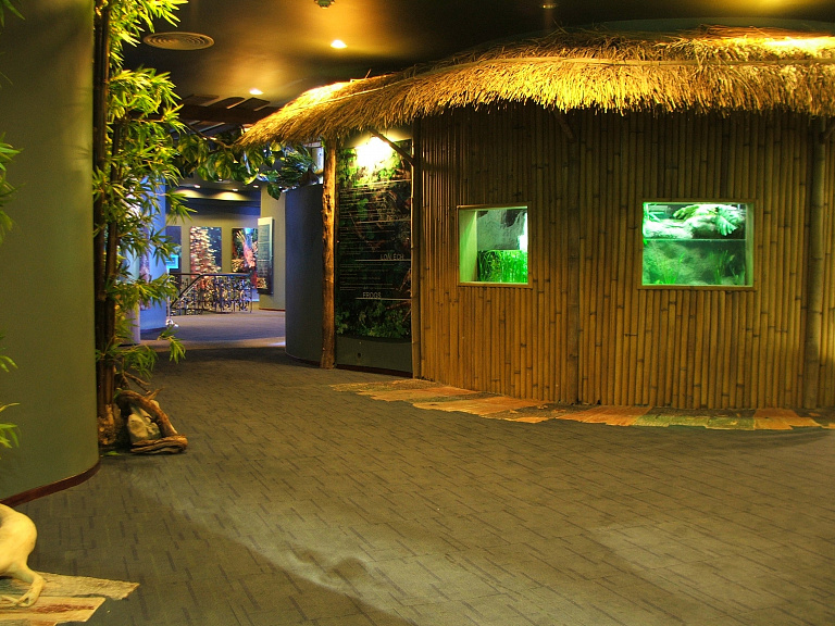 Vinpearl Underwater World