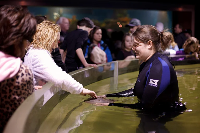 Greater Cleveland Aquarium