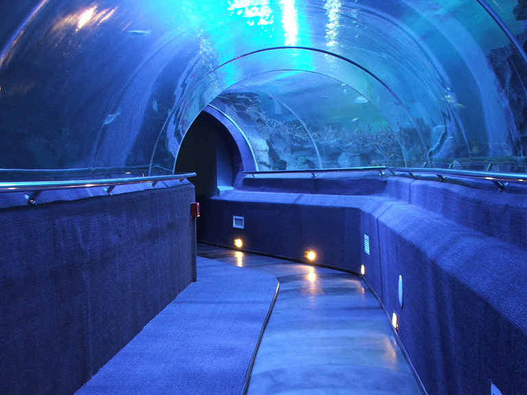 Vinpearl Underwater World