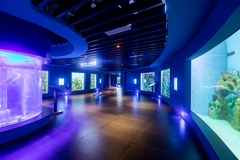 Gujarat Science City Aquatics Gallery