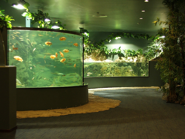 Vinpearl Underwater World