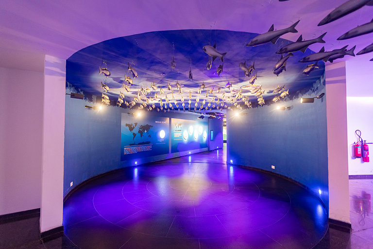 Gujarat Science City Aquatics Gallery