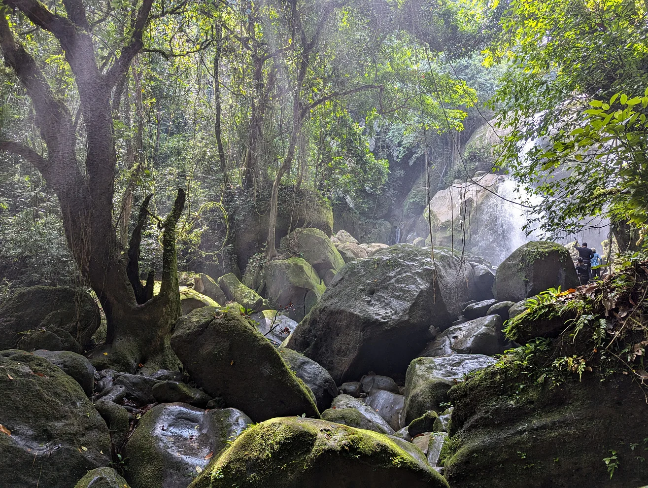 Mambong Tourism Masterplan