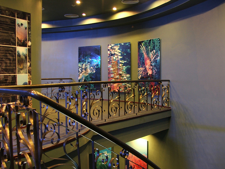Vinpearl Underwater World