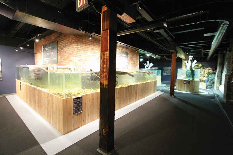 Greater Cleveland Aquarium