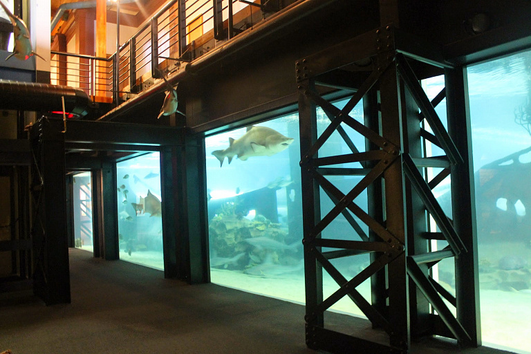 Greater Cleveland Aquarium