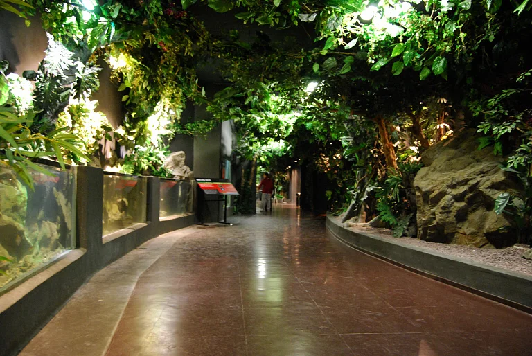 SEA LIFE Istanbul Aquarium