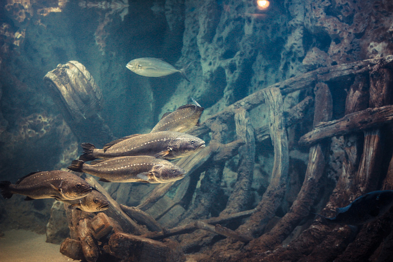 Malta National Aquarium