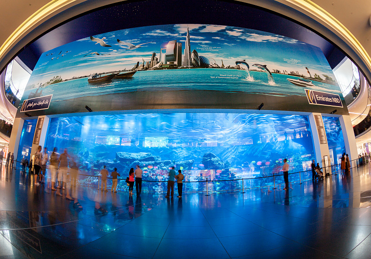 Dubai Aquarium and Underwater Zoo