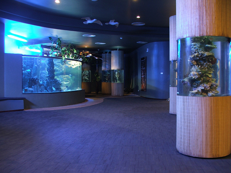 Vinpearl Underwater World