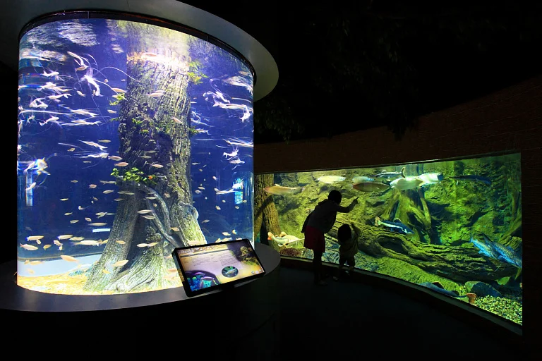 Chiang Mai Aquarium