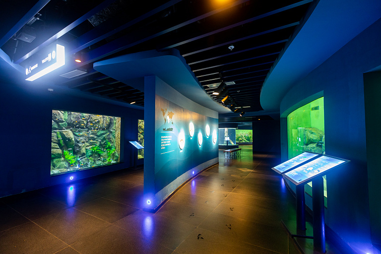 Gujarat Science City Aquatics Gallery