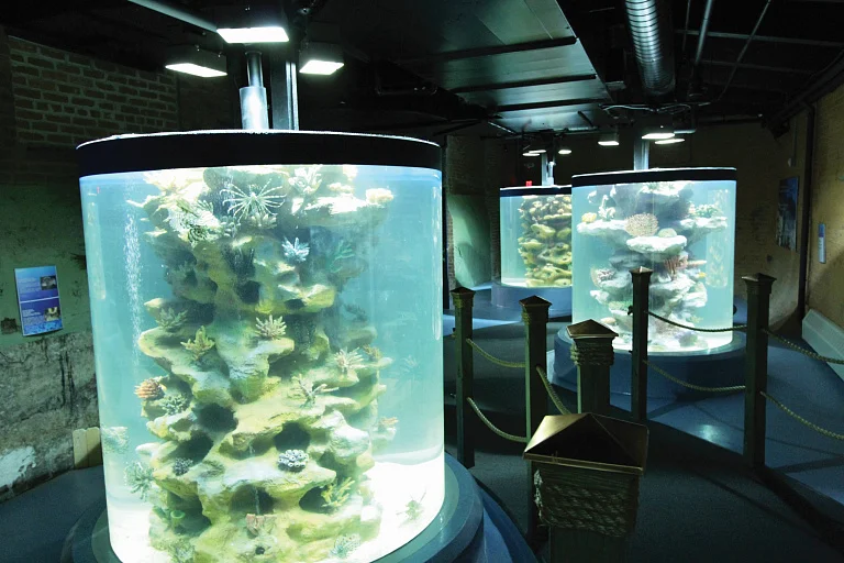 Greater Cleveland Aquarium
