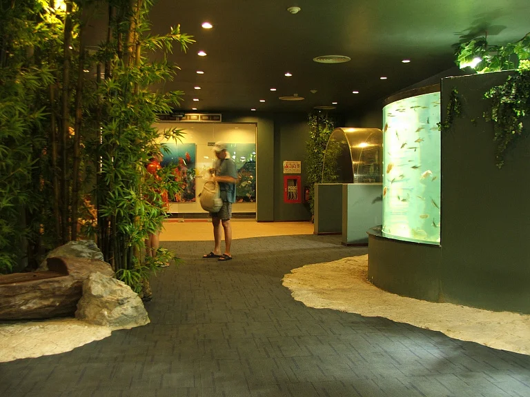 Vinpearl Underwater World