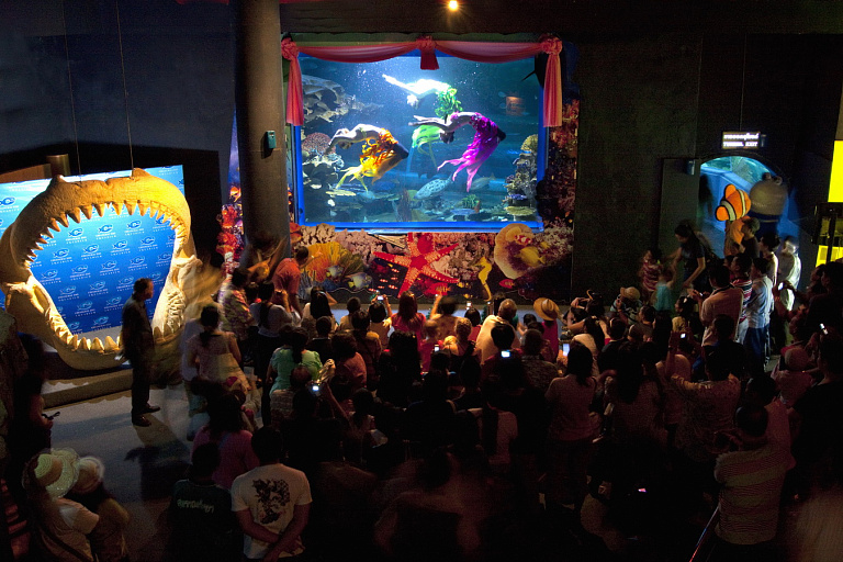 Chiang Mai Aquarium