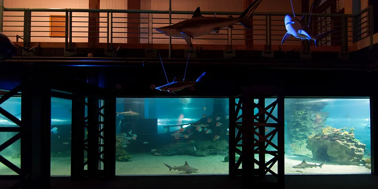 Greater Cleveland Aquarium