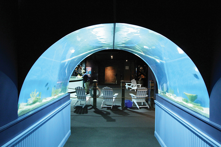 Greater Cleveland Aquarium
