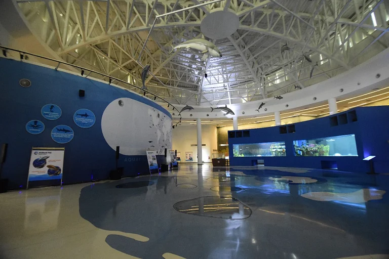 Gujarat Science City Aquatics Gallery