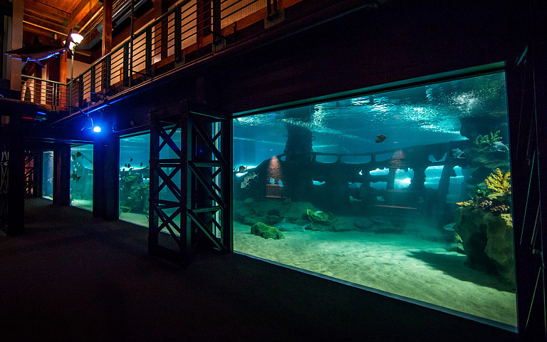 Greater Cleveland Aquarium