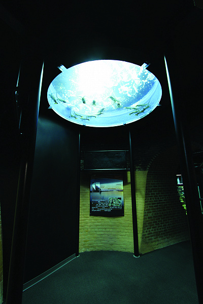 Greater Cleveland Aquarium