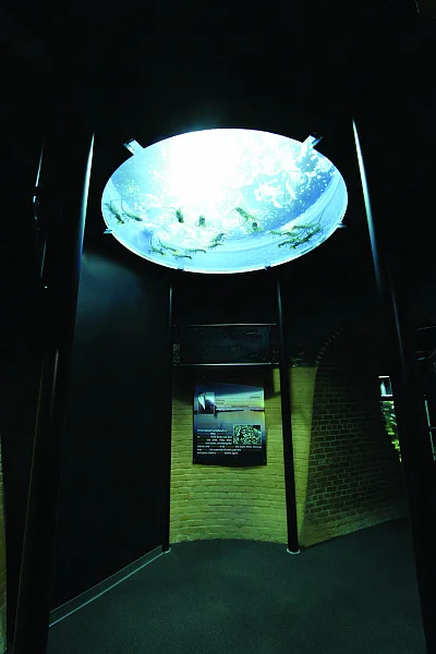 Greater Cleveland Aquarium