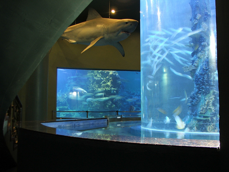Vinpearl Underwater World