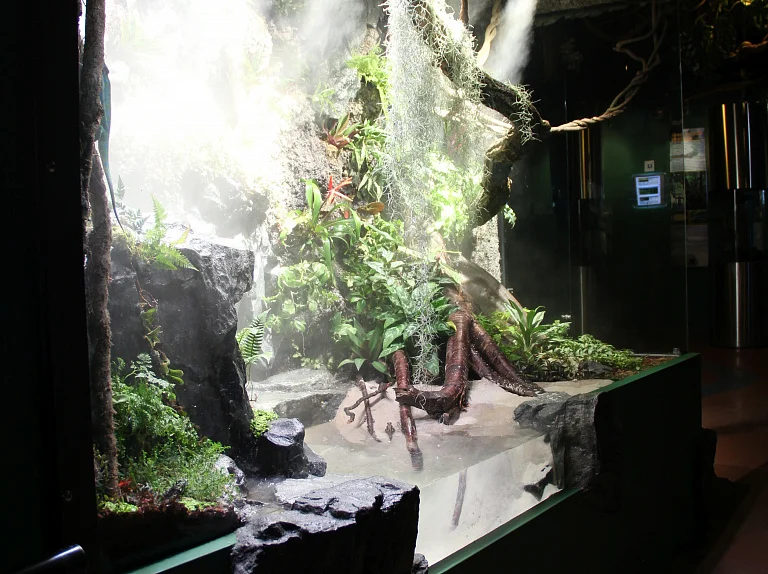 Saint Petersburg Oceanarium