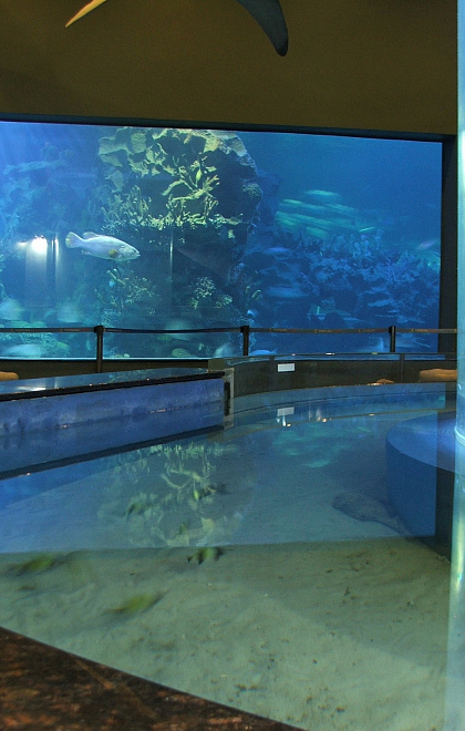 Photo-1