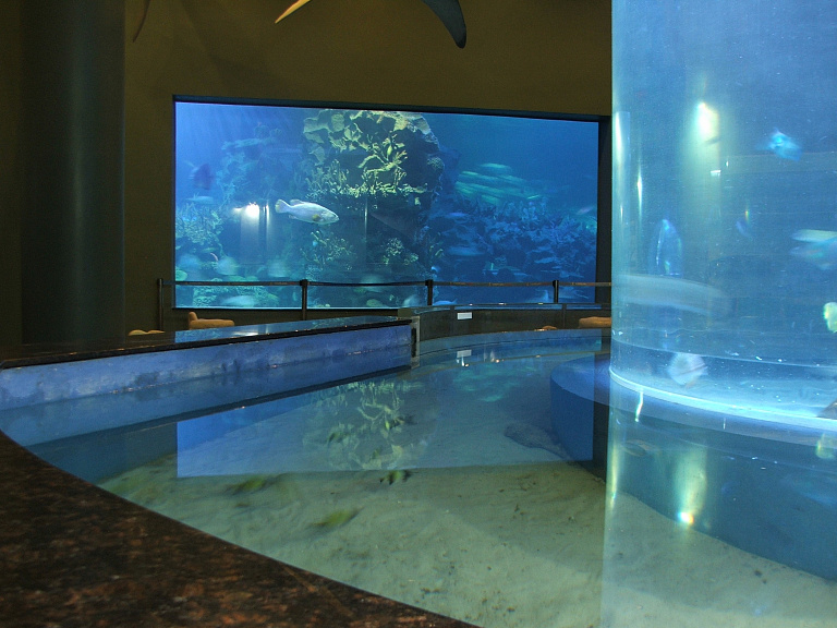 Vinpearl Underwater World