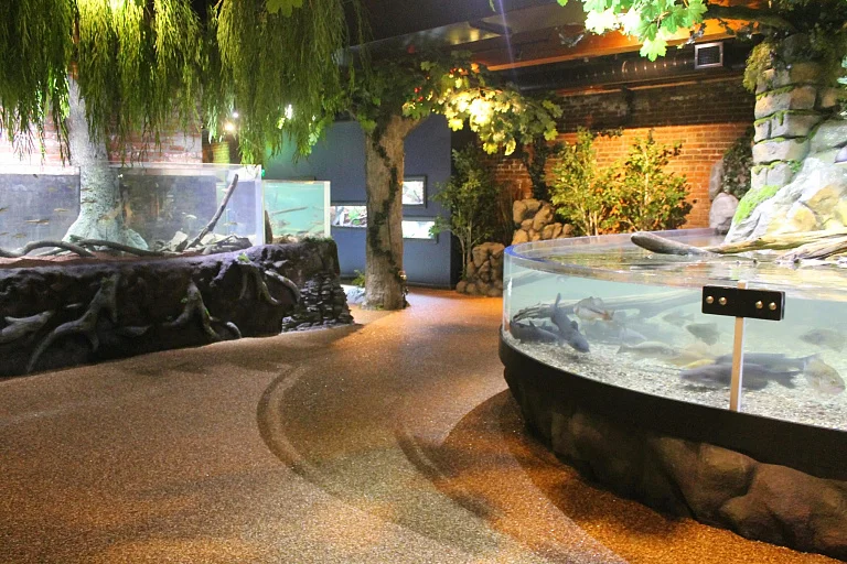 Greater Cleveland Aquarium