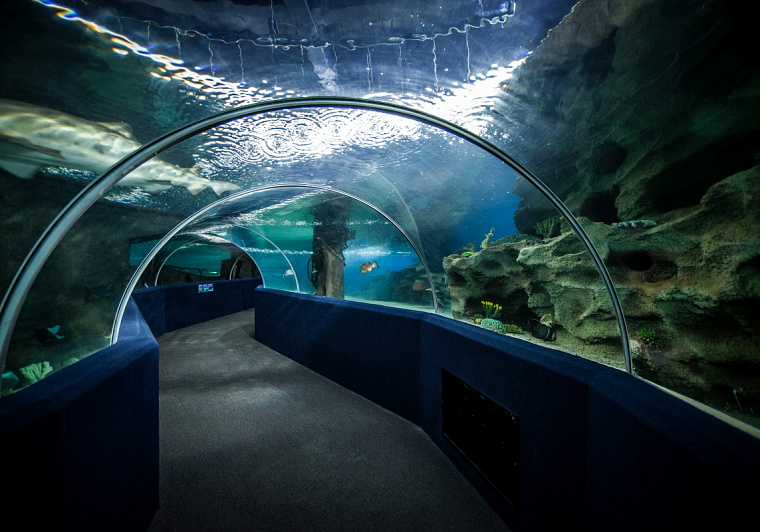 Vinpearl Underwater World
