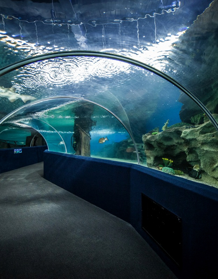 Vinpearl Underwater World