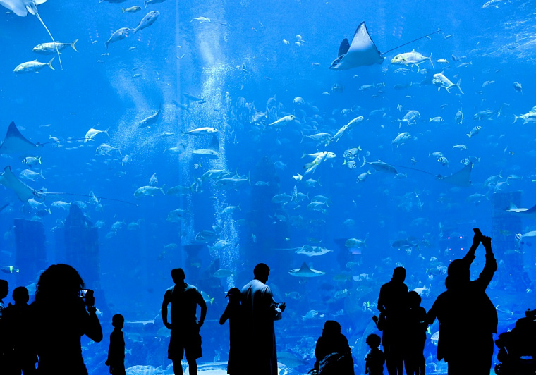 Primorsky Oceanarium