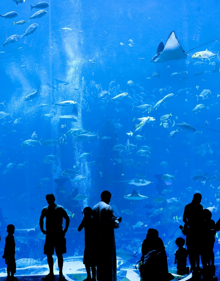 Primorsky Oceanarium