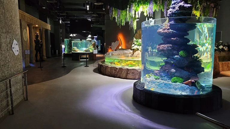 Daejeon Aquarium