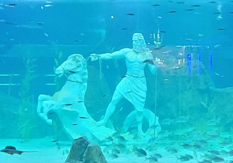 Daejeon Aquarium