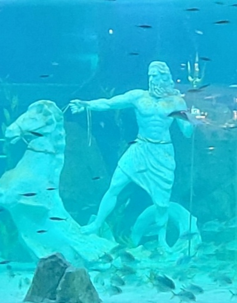Daejeon Aquarium