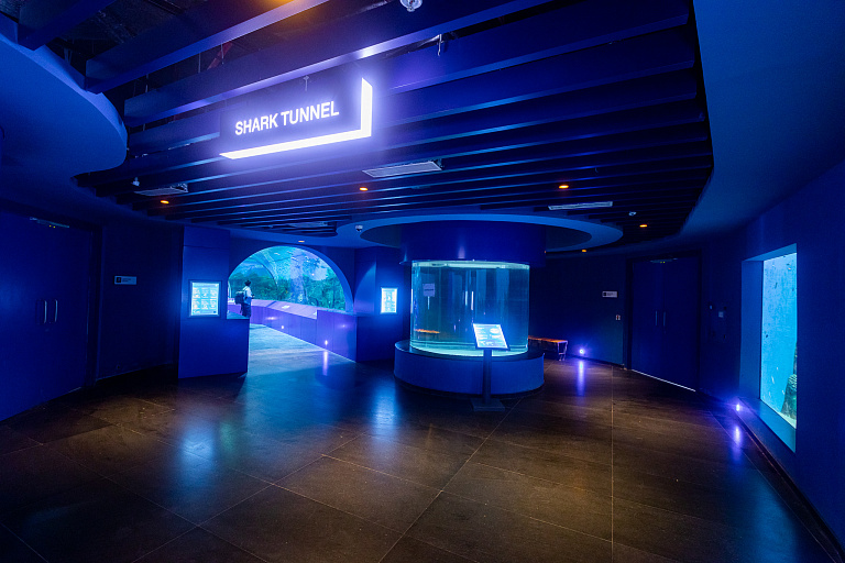 Gujarat Science City Aquatics Gallery