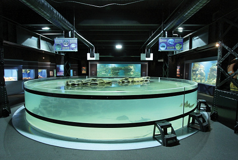Photo-1